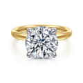 Lua - 14K White-Yellow Gold Hidden Halo Round Diamond Engagement Ring