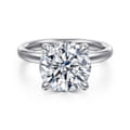 Lua - 14K White Gold Hidden Halo Round Diamond Engagement Ring