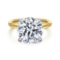 Lua - 14K White-Yellow Gold Hidden Halo Round Diamond Engagement Ring