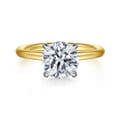 Anuk - 14K Yellow-White Gold Round Hidden Halo Diamond Engagement Ring