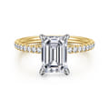 Allison - 14K Yellow-White Gold Emerald Cut Hidden Halo Diamond Engagement Ring