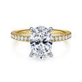 Allison - 14K Yellow-White Gold Oval Hidden Halo Diamond Engagement Ring
