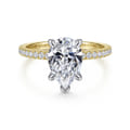 Allison - 14K White-Yellow Gold Pear Shape Hidden Halo Diamond Engagement Ring