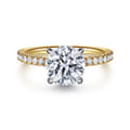Allison - 14K White-Yellow Gold Round Hidden Halo Diamond and Engagement Ring