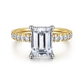Adela - 14K White-Yellow Gold Emerald Cut Hidden Halo Diamond Engagement Ring