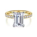 Adela - 14K White- Yellow Gold Emerald Cut Hidden Halo Diamond Engagement Ring