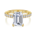 Adela - 14K Yellow Gold Emerald Cut Hidden Halo Diamond Engagement Ring