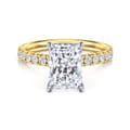 Adela - 14K White-Yellow Gold Radiant Hidden Halo Diamond and Engagement Ring