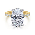 14K White-Yellow Gold Oval Hidden Halo Diamond Engagement Ring