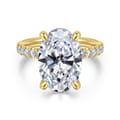 Adela - 14K Yellow Gold Oval Hidden Halo Diamond Engagement Ring