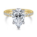 Adela - 14K Yellow-White Gold Pear Shape Hidden Halo Diamond Engagement Ring