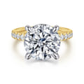 Adela - 14K Yellow-White Gold Round Hidden Halo Diamond Engagement Ring