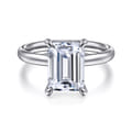 Peace - 14K White Gold Emerald Cut Hidden Halo Diamond Engagement Ring