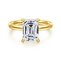 Peace - 14K Yellow Gold Emerald Cut Diamond Engagement Ring