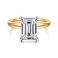 Peace - 14K Yellow-White Gold Emerald Cut Diamond Engagement Ring