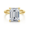 Peace - 14K Yellow Gold Emerald Cut Diamond Engagement Ring