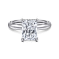 Peace - 14K White Gold Radiant Diamond and Engagement Ring