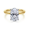 Peace - 14K Yellow-White Gold Oval Diamond Engagement Ring