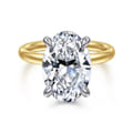 Peace - 14K Yellow-White Gold Oval Diamond Engagement Ring