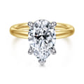 Peace - 14K Yellow-White Gold Pear Shape Hidden Halo Diamond Engagement Ring