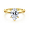 Peace - 14K Yellow Gold Pear Shape Hidden Halo Diamond Engagement Ring