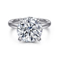 Peace - 14K White Gold Round Hidden Halo Diamond Engagement Ring