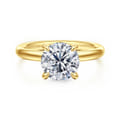 Peace - 14K Yellow Gold Round Hidden Halo Diamond Engagement Ring