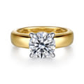 Reeve - 14K Yellow-White Gold Round Diamond Engagement Ring
