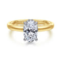 Sandi - 14K White-Yellow Gold Oval Diamond Engagement Ring