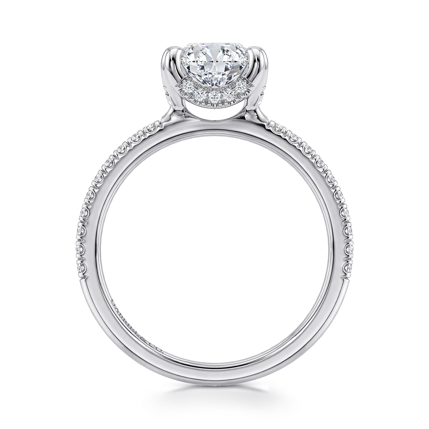 Oval Diamond Engagement Ring in 14K White Gold, photograph 2