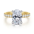 Aruba - 14K White-Yellow Gold Oval Shape Diamond Engagement Ring
