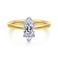 Austria - 14K White-Yellow Gold Radiant Cut Diamond Engagement Ring