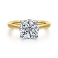Austria - 14K White-Yellow Gold Hidden Halo Round Diamond Engagement Ring