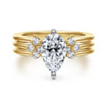 Editta - 14K White-Yellow Gold Compass Prong Pear Shape Diamond Engagement Ring