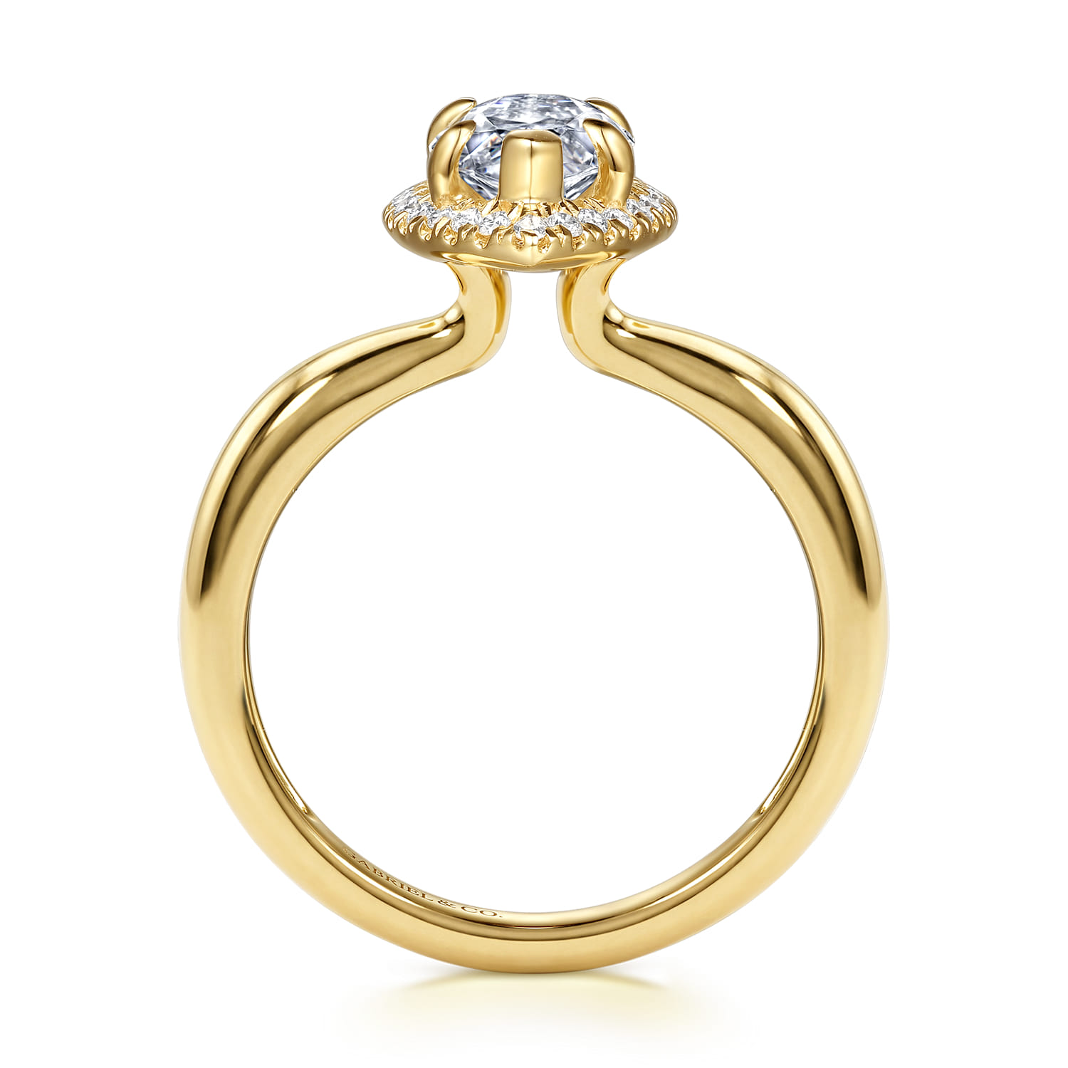 Marquise Halo Diamond Engagement Ring in 14K Yellow Gold, photograph 2