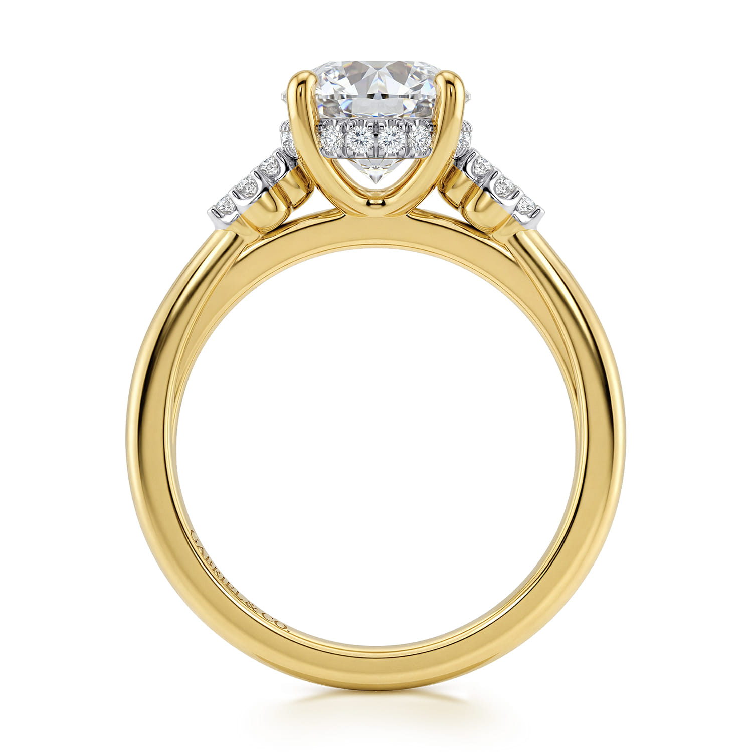 Round Diamond Engagement Ring in 14K Yellow Gold, photograph 2