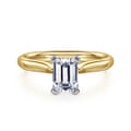 Lauren - 14K White-Yellow Gold Emerald Cut Diamond Engagement Ring