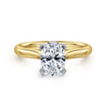 Lauren - 14K White-Yellow Gold Oval Diamond Engagement Ring