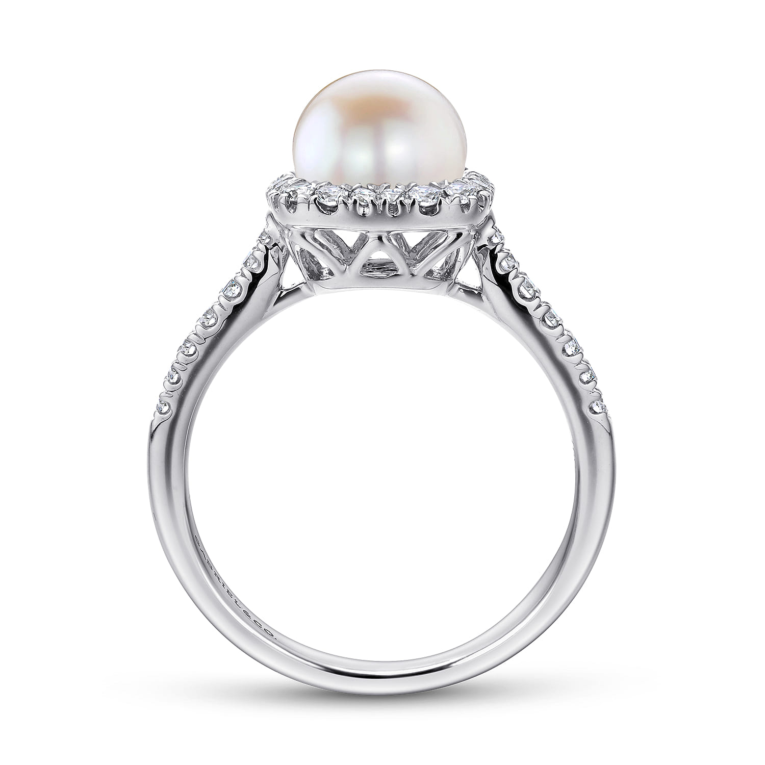 Classic Cultured Pearl and Diamond Halo Ring in 14K White Gold, photograph 2