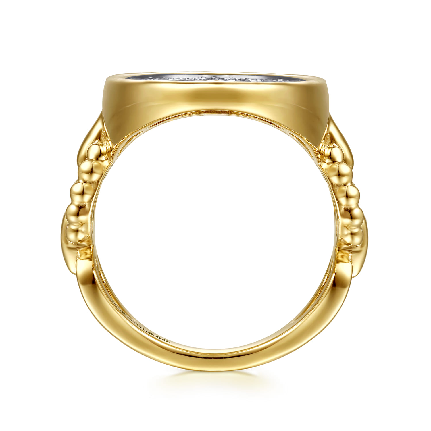 Bujukan and Diamond Signet Ring in 14K White/Yellow Gold, photograph 2