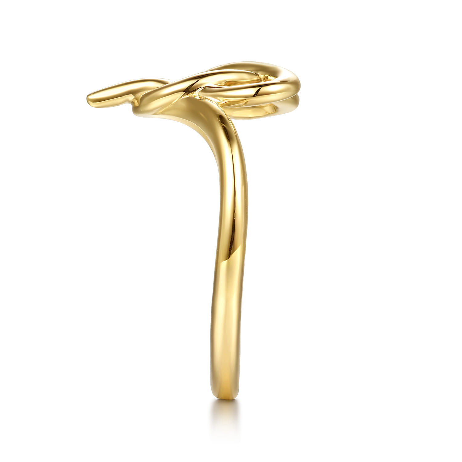 Infinity Ring in 14K Yellow Gold, photograph 4