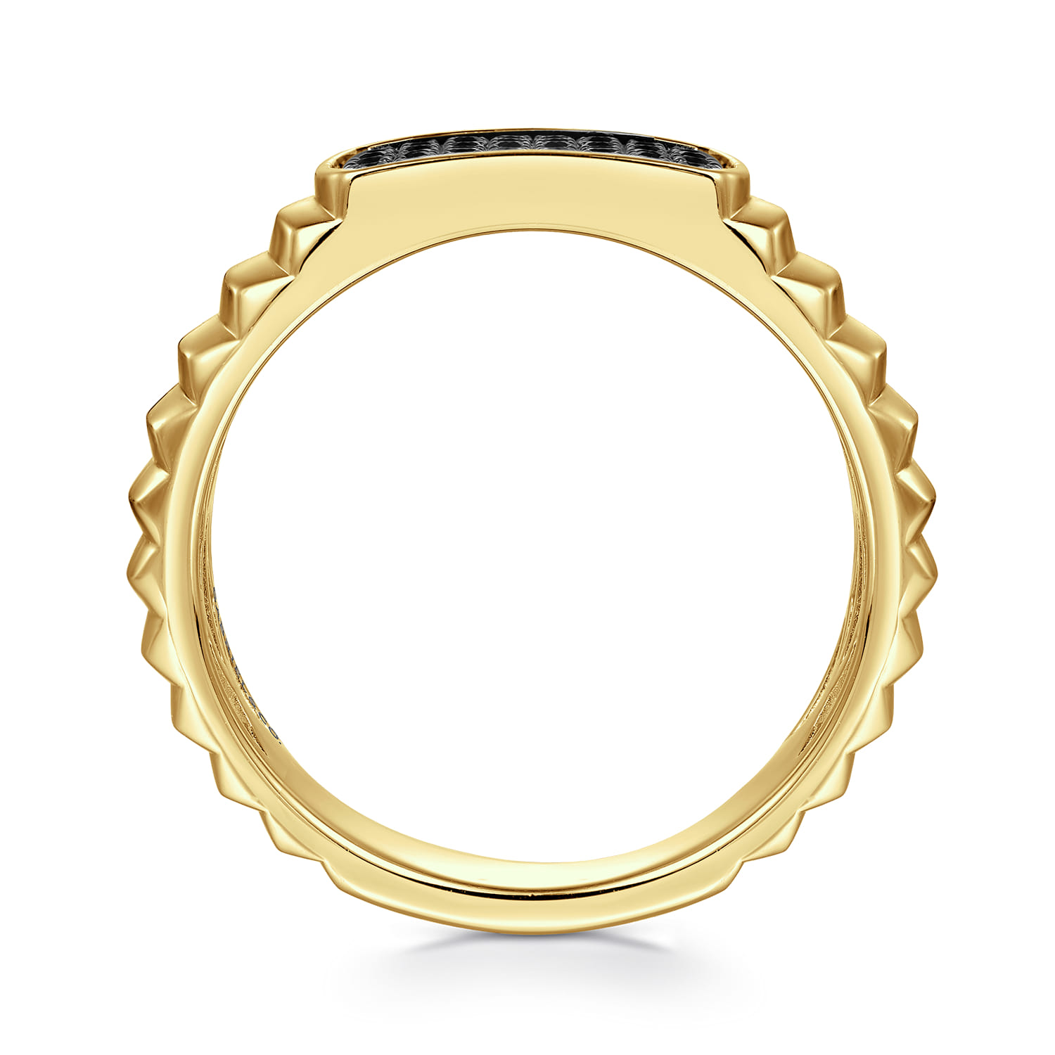 Black Diamond Mens Ring in High Polished Finish in 14K Yellow Gold, photograph 2