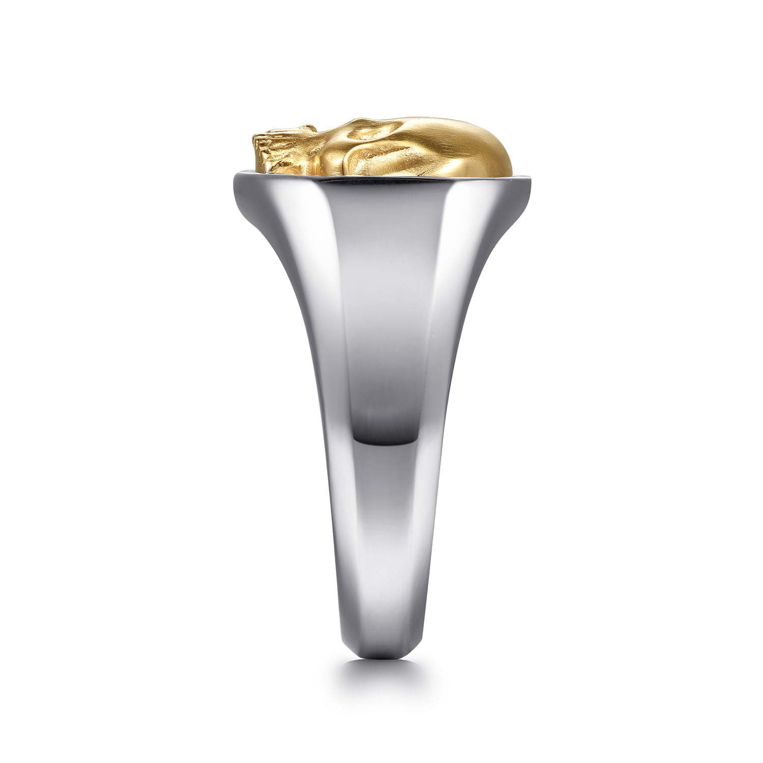 Wide and Skull Signet Ring in 14K Yellow Gold, photograph 4
