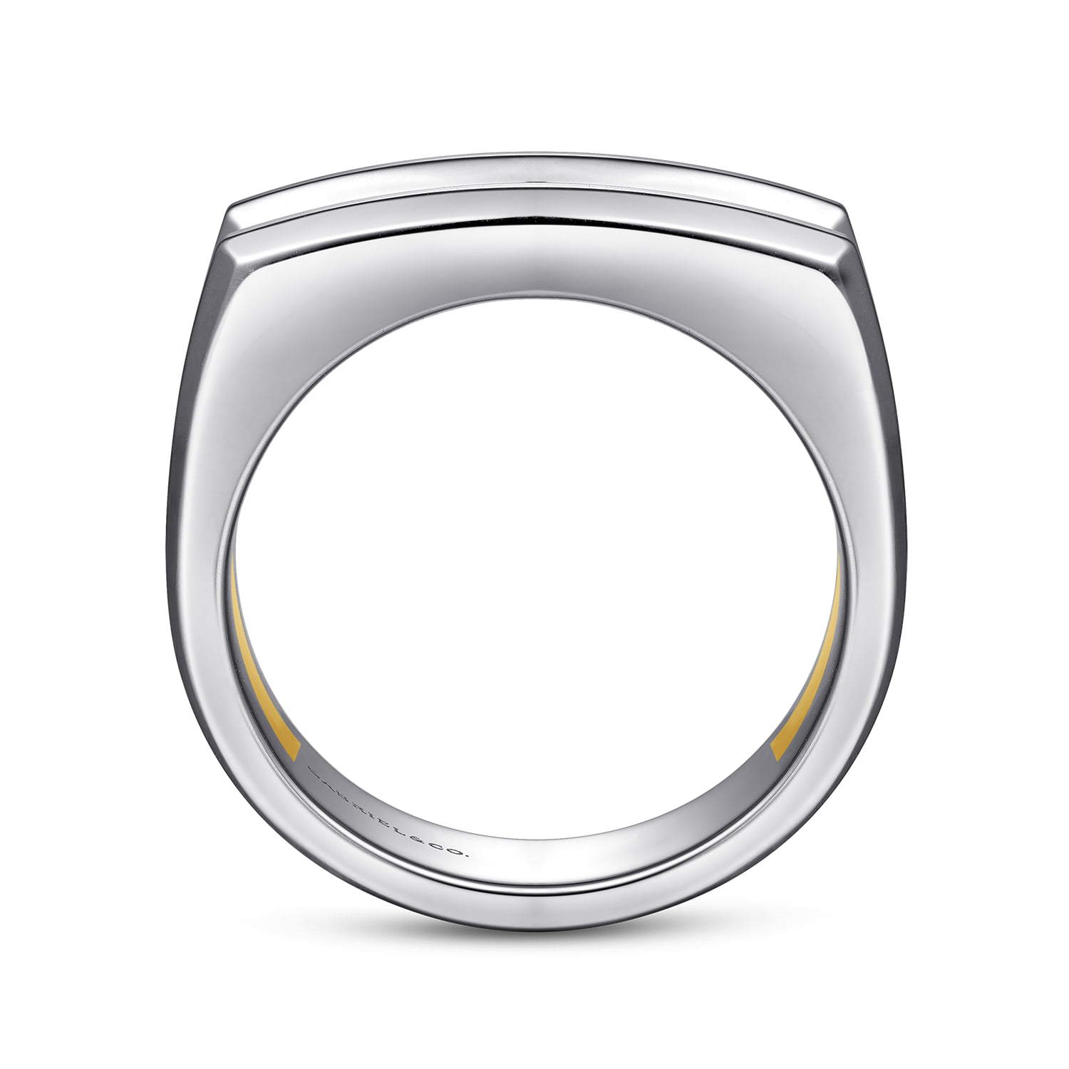 Faceted Ring in High Polished Finish in 14K White/Yellow Gold, photograph 2