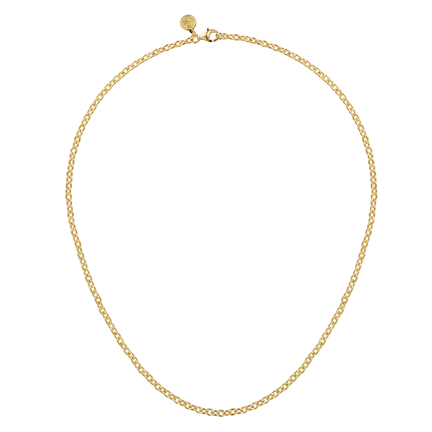Link Chain Necklace in 14K Yellow Gold, photograph 2