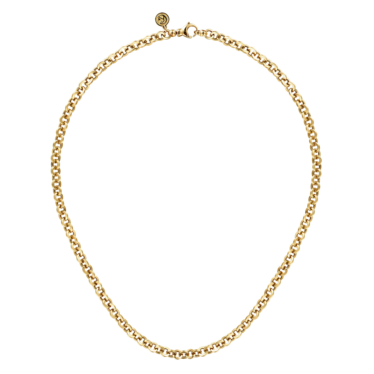Link Chain Necklace in 14K Yellow Gold, photograph 2