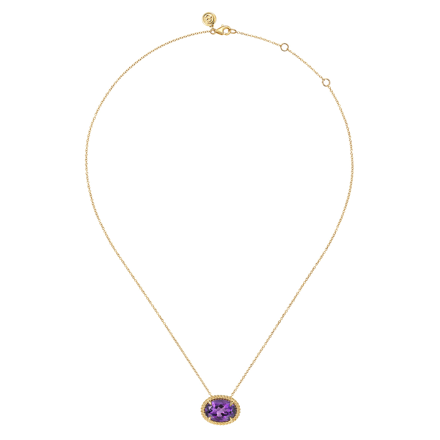 Amethyst and Bujukan Double Pendant Necklace in 14K Yellow Gold, photograph 2