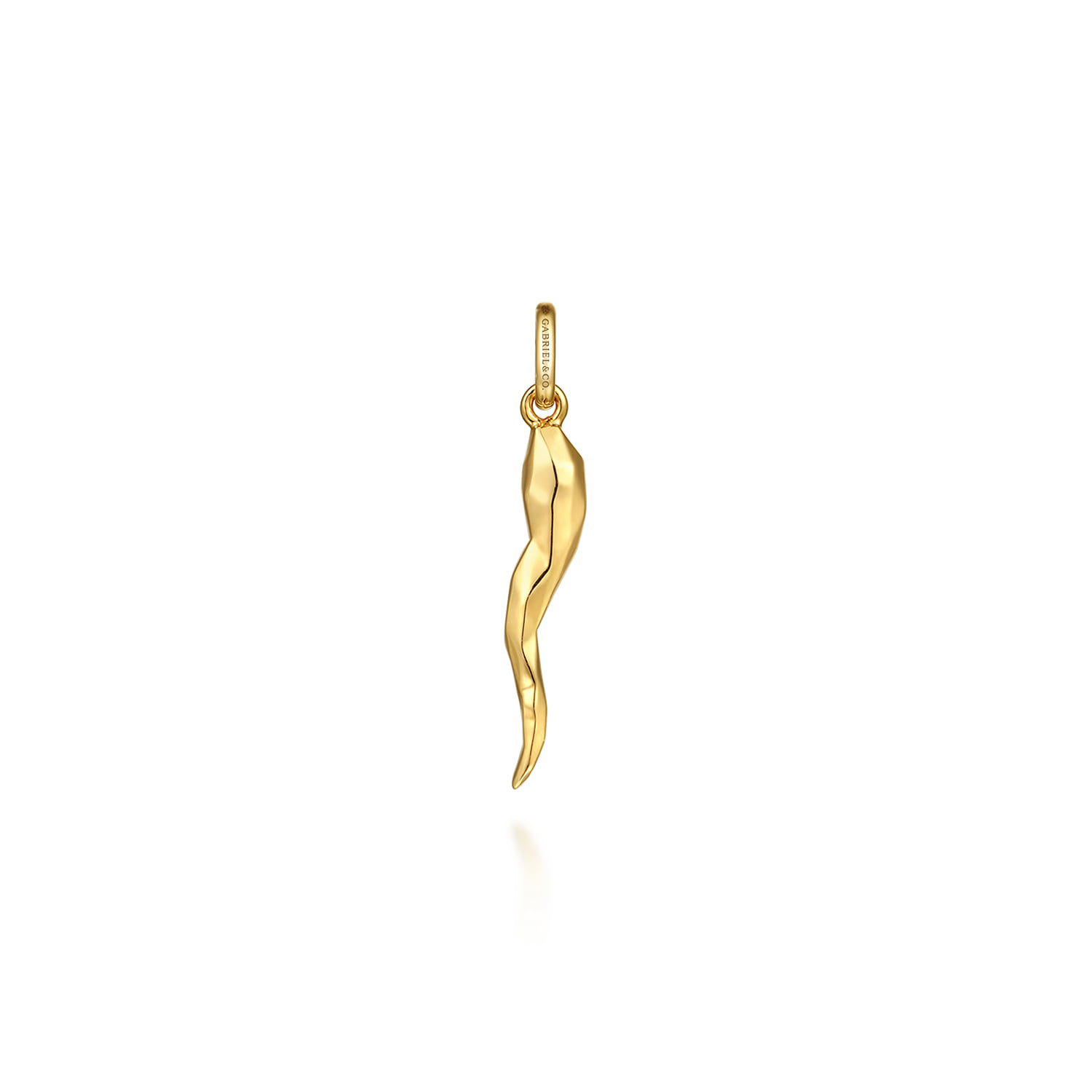 Italian Horn Pendant in 14K Yellow Gold, photograph 2