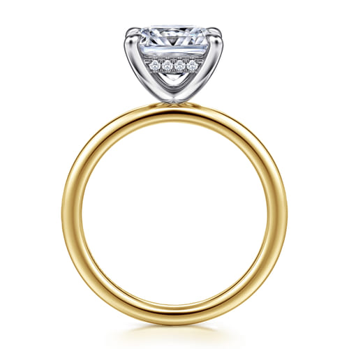 14K White-Yellow Gold  Princess Cut Diamond Engagement Ring