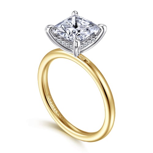 14K White-Yellow Gold  Princess Cut Diamond Engagement Ring